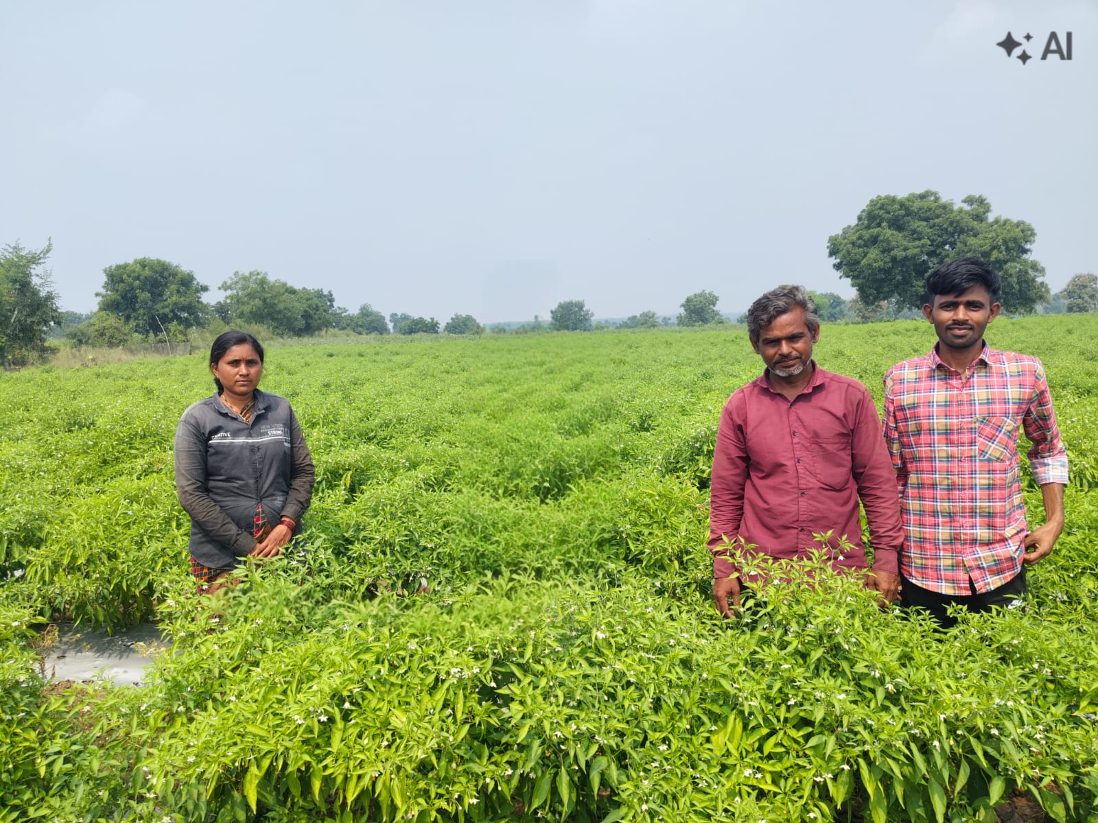 Farmer Development